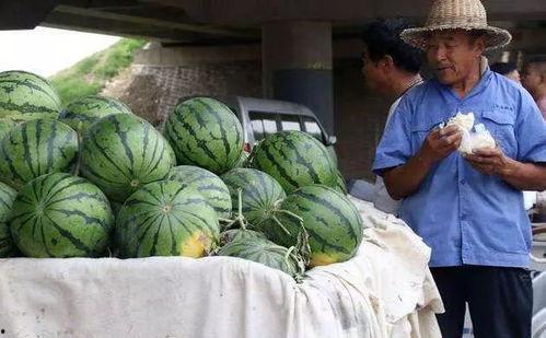 康县网红吃瓜事件,一场网络舆论的风暴与反思 第2张 康县网红吃瓜事件,一场网络舆论的风暴与反思 第2张